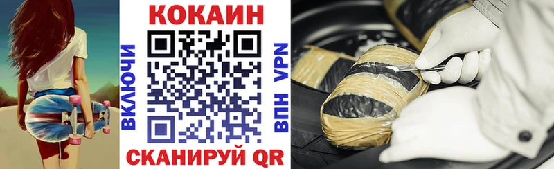 Cocaine Fish Scale  купить закладку  Дмитриев 