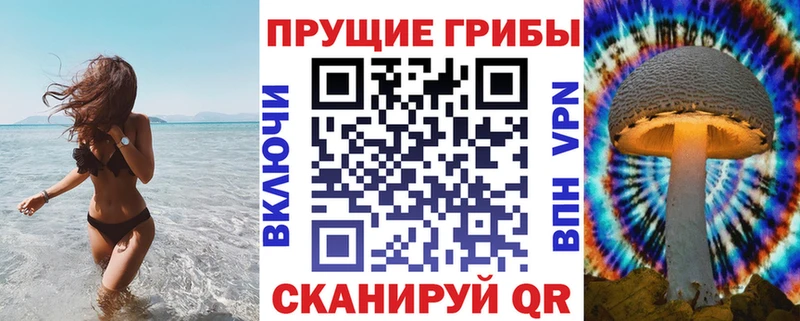 kraken маркетплейс  где найти наркотики  Дмитриев  Псилоцибиновые грибы Magic Shrooms 
